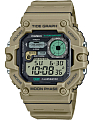 Часы Casio Collection WS-1700H-5A